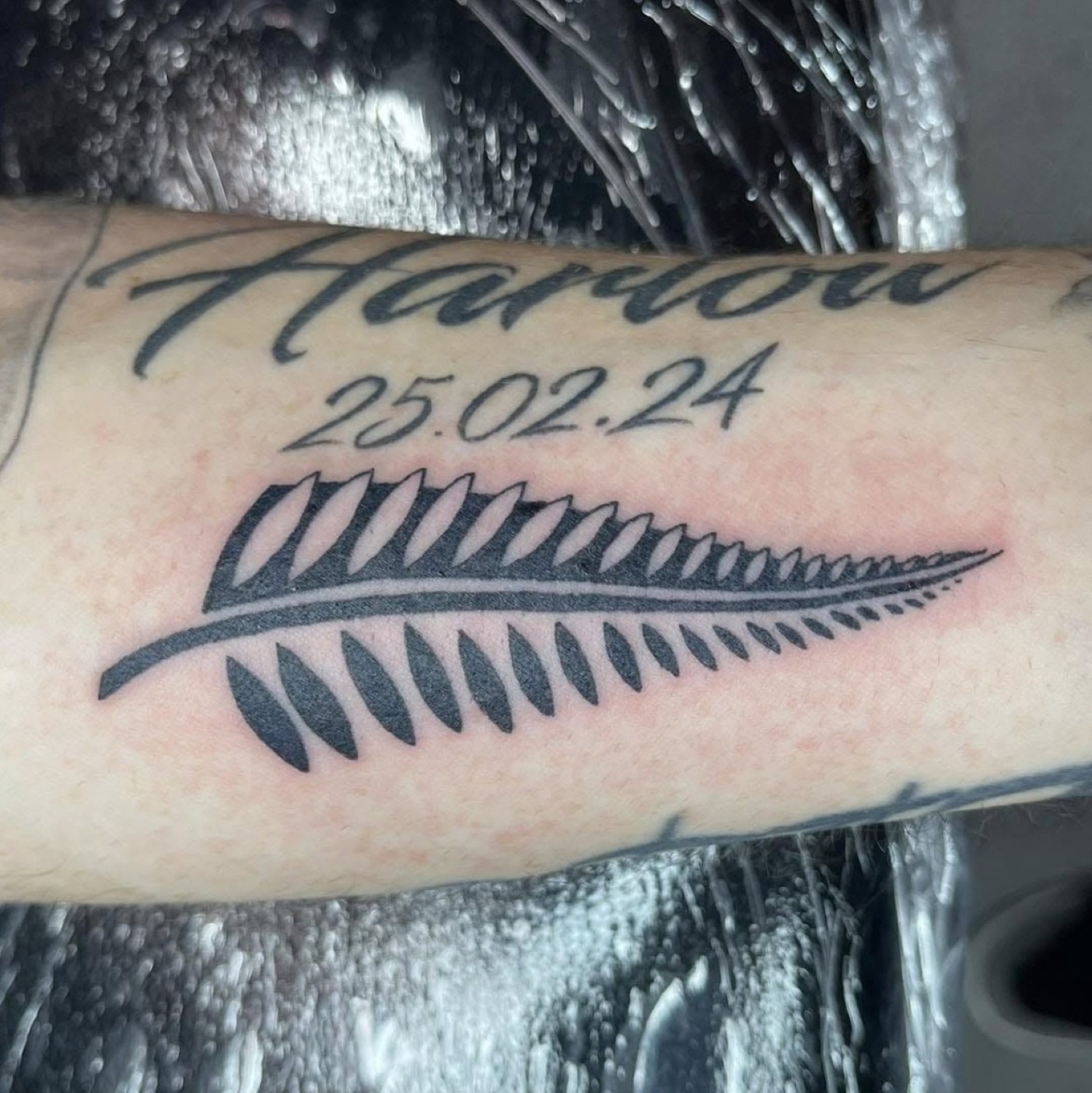 New Zealand Tattoo Shop